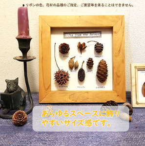 森の木の実の額
