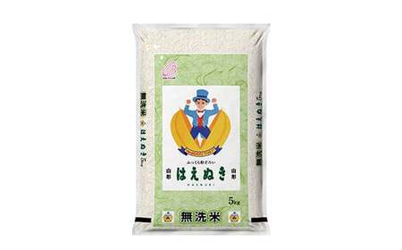 無洗米はえぬき10kg(BG無洗米) F2Y-3921