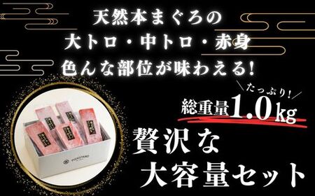 【至極の味わい】 天然 本まぐろ 1kg （ 大トロ 200g、 中トロ 400g、 赤身 400g） M020-025-01 冷凍 マグロ 【 まぐろ専門の卸問屋です 】