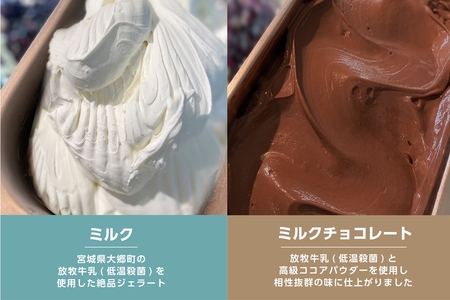 ジェラート 大郷町低温殺菌放牧牛乳使用 支倉の浪漫 [ミルク]＆[ミルクチョコ] ファミリーパックセット (各1000ml) アイスクリーム｜宮城県 大郷町 アイス スイーツ 牧場 牛乳 イタリアンジェラート デザート アイスクリーム [0157]