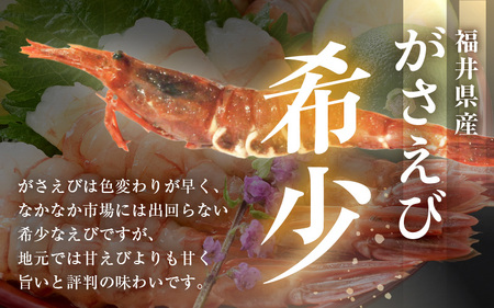 【発泡箱入り】がさえび 約600g エビ 冷凍 [A-23106]