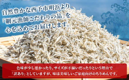 ＜訳あり ちりめん 300g入り 1袋＞ しらす シラス じゃこ 魚 さかな 小魚 海鮮 海産物 水産加工品 おにぎり 具材 おつまみ おやつ ご家庭用 のし 特産品 網元・祇園丸 愛媛県 西予市 【冷蔵】『1か月以内に順次出荷予定』 AAG0010