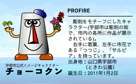 チョーコクンぬいぐるみ（小） 1個 【山口県 宇部市 ゆるキャラ ご当地キャラ キャラクター ゆるチョーコクン 宇部ふるさと大使 YOASOBI Ayase 紹介 話題 SNS やす子】 BB09_1-FN