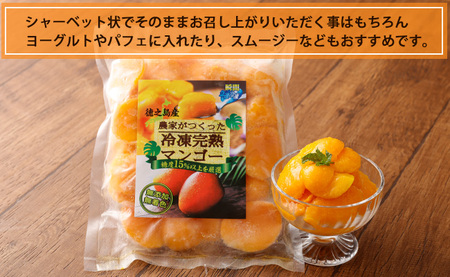 鹿児島県 徳之島 天城町産 冷凍 完熟 マンゴー 5kg（500g×10袋）冷凍マンゴー フルーツ