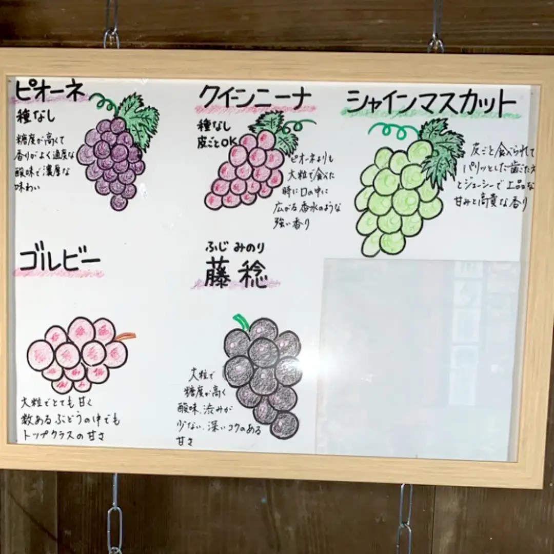 《 種なし 》 クイーンニーナ 約1.5kg 3～4房 (茨城県共通返礼品 かすみがうら市) 久保田果樹園 産地直送 フルーツ 甘い 直送 茨城 限定 ギフト ぶどう クイーンニーナ 果物 [DH008sa]