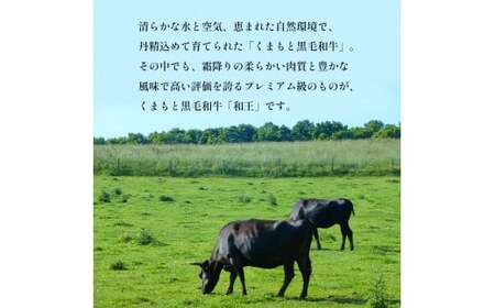 熊本県産 Ａ5等級 和王 柔らか 赤身 焼肉 900g | 肉 にく お肉 おにく 牛 牛肉 和牛 熊本県 玉名市