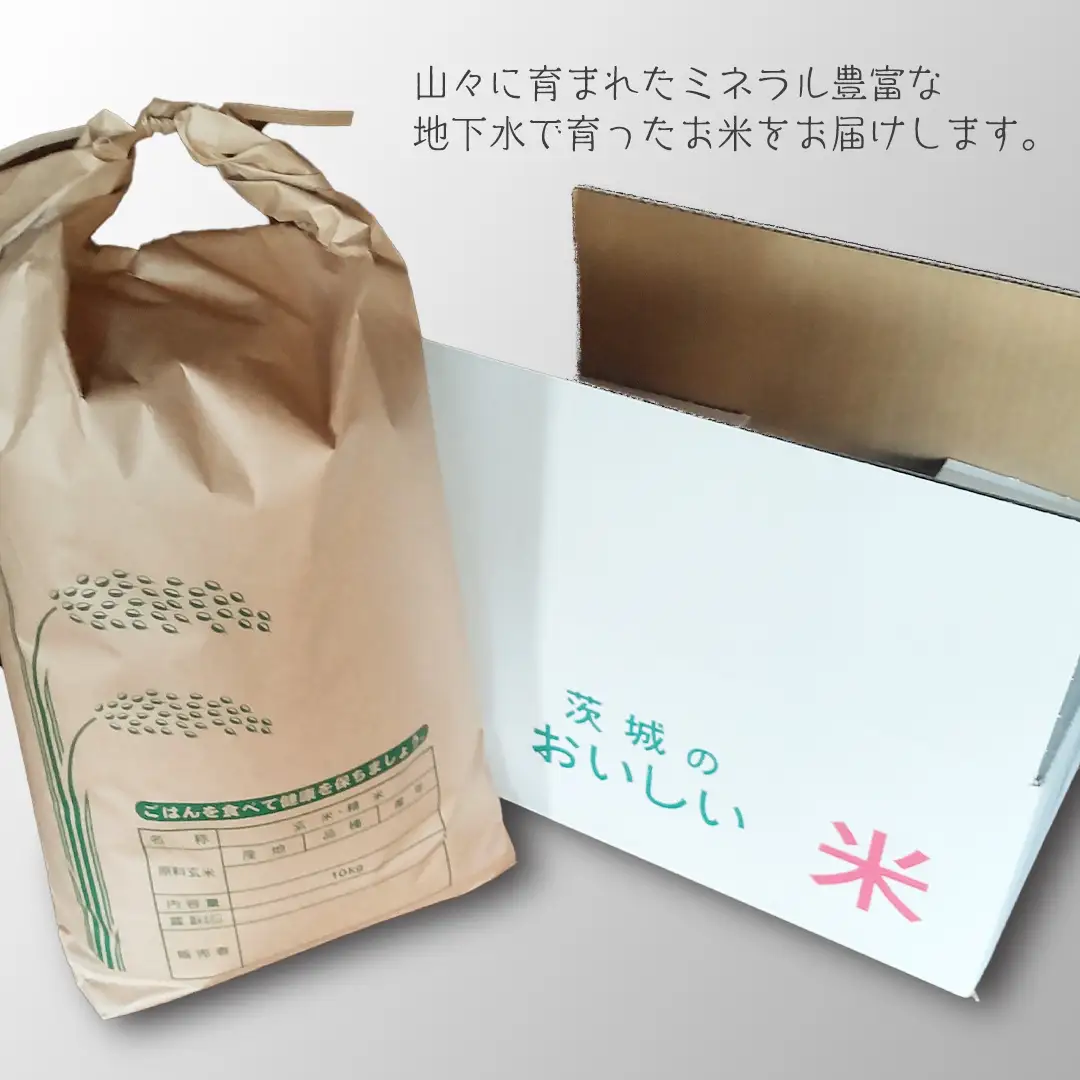 令和8年産 コシヒカリ 精米 10kg (茨城県共通返礼品 かすみがうら市) 紙米袋 茨城 新米 精米 コシヒカリ お米 ごはん 直送 銘柄米 [DH020sa]
