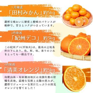【全6回定期便】旬のフルーツ定期便 【田村みかん / 紀州デコ(不知火) / 清見オレンジ / 小玉スイカ / 桃 / ゆら早生みかん】 ～和歌山の旬をお届け～ / みかん ミカン 温州みかん 有田みかん 不知火 デコポン 桃 ももフルーツ 果物 定期便【tkb314】