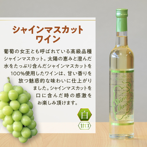 ワイン Premiumワインギフト（白）500ml×2本『シャインマスカットワイン＋デラウェアワイン』～2023～（HO）B16-776