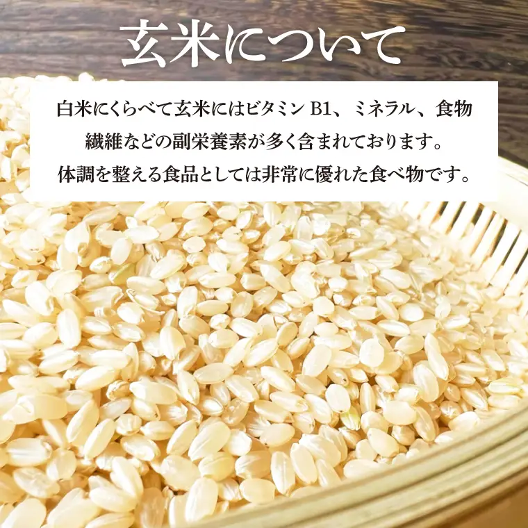 【玄米】令和7年産 特別栽培米 ひとめぼれ 5㎏ CP031 完熟あさ陽米