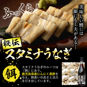 【数量限定】鹿児島県産！秘伝の特上スタミナうなぎ白焼き＜2尾・計240g以上＞肝吸いセット！ a4-098