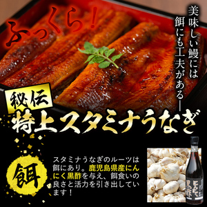 【数量限定】鹿児島県産！秘伝の特上スタミナうなぎ蒲焼き＆白焼きセット！＜計260g以上＞肝吸いセット！ a5-349