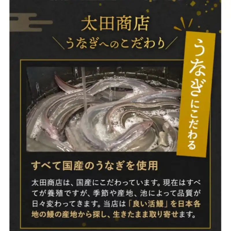 【6カ月定期便】国産うなぎ蒲焼（２本）タレ付き×6回 / 定期便 毎月お届け 和歌山 田辺市 国産 国産うなぎ 国産鰻 うなぎ 鰻 鰻丼 うな丼 土用の丑の日 冷凍 【ots025-tk】