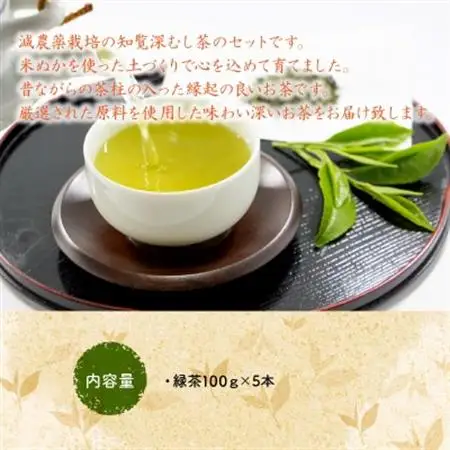 お茶で健康一番!知覧厳選緑茶5本セット【1185747】