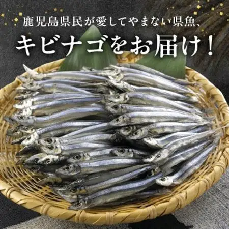 鹿児島県産キビナゴ丸ごと冷凍1.5kg 008-65【配送不可地域：離島】【1710423】
