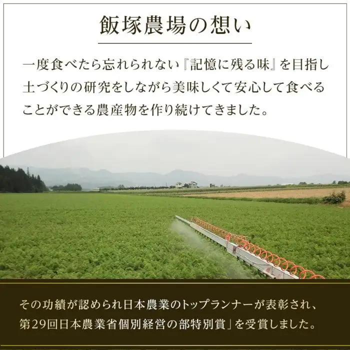 【夏季限定】飯塚農場産の八色原すいか　大玉2玉（赤1玉・黄1玉）セット【2026年7月下旬より順次発送予定】