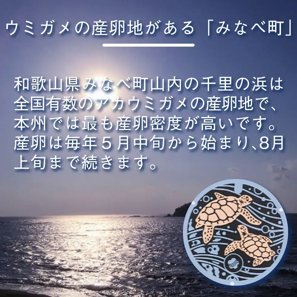 みなべ町 マンホールTシャツ【XLサイズ・白】jpnug002-4A【jpnug002-4A】