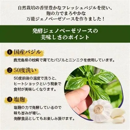 発酵ジェノベーゼソース(150g×8個)【鹿児島県枕崎産 バジル使用】C0-67_惣菜・加工品     調味料   _【配送不可地域：離島】【1476145】
