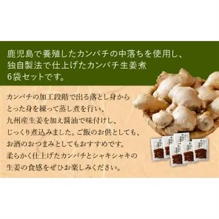 カンパチ生姜煮6袋セット【1185811】