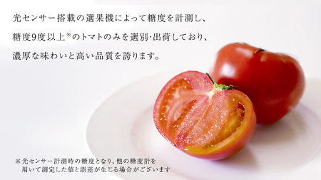 【 2026年収穫分 先行予約 】 糖度9度以上 スーパーフルーツトマト てるて姫 中箱 約1.2kg × 1箱 と PREMIUM ドレたれ セット [BC077sa]