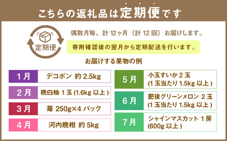 【年12回定期便】熊本県産フルーツ堪能定期便 ｜ 果物 くだもの フルーツ 定期便 旬 デコポン みかん メロン すいか いちご 梨 柿 シャインマスカット 特産品 熊本県