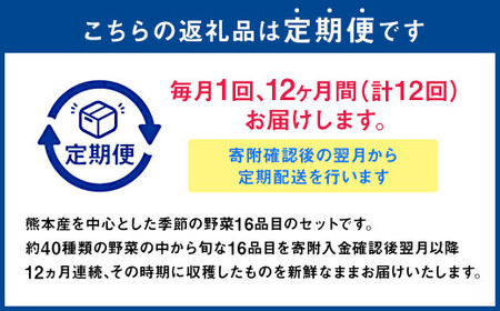 【12か月連続定期便】熊本季節の野菜セット 16品目 ｜ やさい 野菜 季節 旬 新鮮 定期便 熊本県 国産