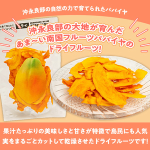 【先行受付】沖永良部島の甘くて美味しい無添加ドライフルーツ（パパイヤ）30g×5袋 W051-008u 加工品 果物