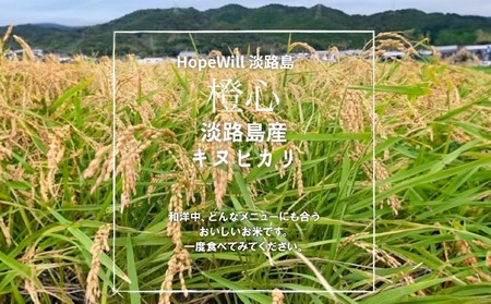 令和７年度産 新米 淡路島産「橙心(きぬひかり)」　精米20kg　◆配送9月末～