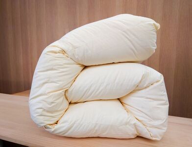【訳あり】 リサイクル羽毛掛布団　白州洗いのリサイクル羽毛ダウン90％使用　羽毛量1.24kg　冬掛けシングルサイズ [h126]