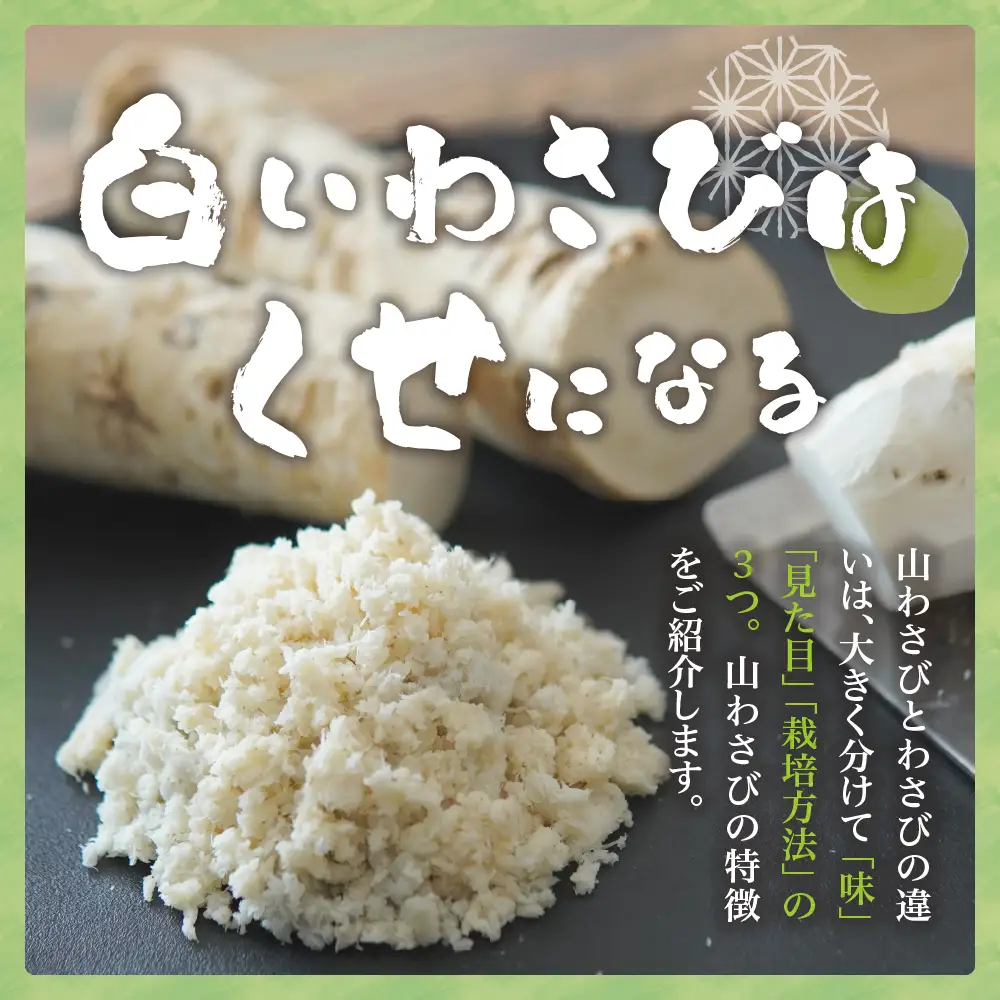 北海道芽室町 十勝産山わさび（土付き1kg）ワサビ わさび 生わさび 生 西洋わさび 新鮮 薬味 調味料 産地直送 お取り寄せ グルメ 北海道 十勝 芽室町me064-001c