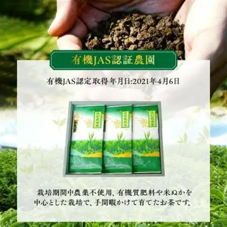 お茶で健康!こだわりの知覧茶3本セット【1185830】