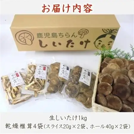 生しいたけ1kg・乾燥しいたけ4袋【配送不可地域：離島・北海道・沖縄県・東北・関東・信越、北陸・東海・近畿・四国】【1185850】