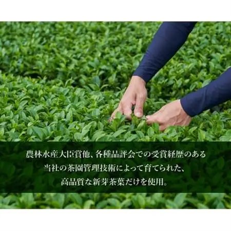 知覧深蒸し茶 かいもんみどり3本セット【1185848】