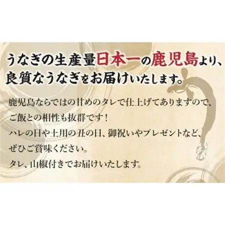 鹿児島県産うなぎ蒲焼2尾 008-55【配送不可地域：離島】【1710431】