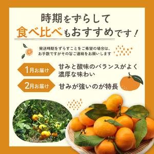 多気町産 温州みかん 5kg L～2Lサイズ 約35個前後 蜜柑 みかん ミカン 柑橘類 柑橘 フルーツ 果物 くだもの 人気 美味しい  三重県 多気町 GF-04