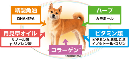 H-208　日本犬 柴専用 成犬用　チキン味 6kg