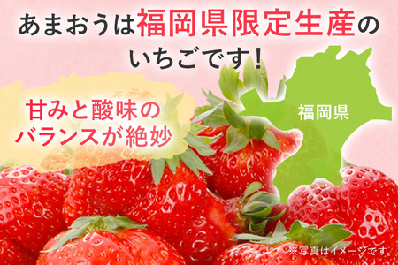 【2027年発送先行予約】あまおうデラックス（約250‐270g x2パック） お取り寄せグルメ お取り寄せ 福岡 お土産 九州 福岡土産 取り寄せ グルメ 福岡県