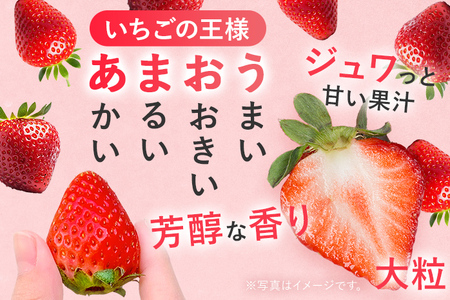 【2027年先行いちご定期便】 あまおう 3パックｘ3回 （1月下旬～、2月～、3月～発送）お取り寄せグルメ お取り寄せ 福岡 お土産 九州 福岡土産 取り寄せ グルメ 福岡県