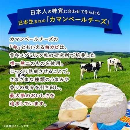 雪印北海道 カマンベールチーズ 切れてるタイプ 1箱(90g(6個入り)×10個)_卵・乳製品 チーズ  _【配送不可地域：離島】【1476010】
