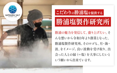 千葉県 勝浦市 満月の刻 100g と 新月の煌 100g 各10袋 セット 【配送不可地域あり】 《90日以内に出荷予定(土日祝除く)》 塩 勝浦塩 調味料