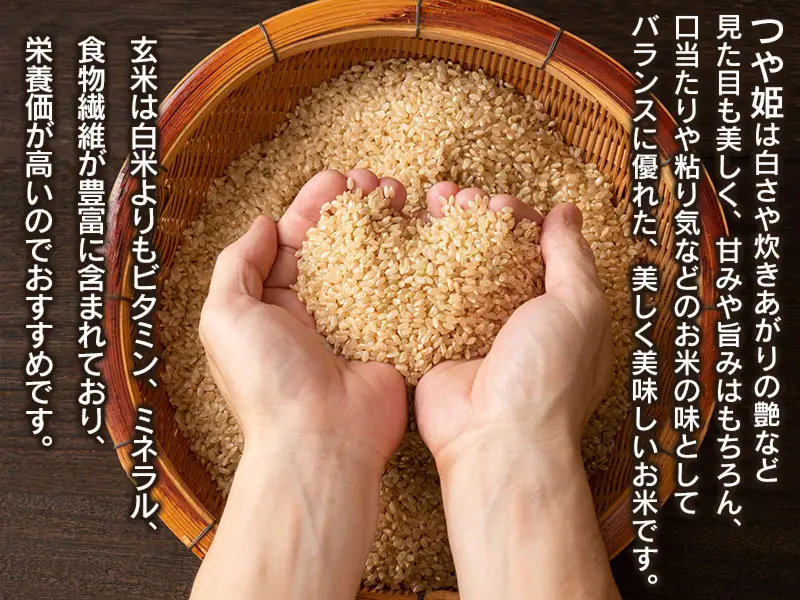 数量限定 【令和7年産】 山形県庄内産 小池半左衛門のお米 特別栽培米 つや姫 玄米 10kg (5kg×2袋)