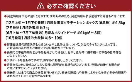【年4回定期便】にしだ果樹園の熊本県産季節の月読みフルーツ定期便