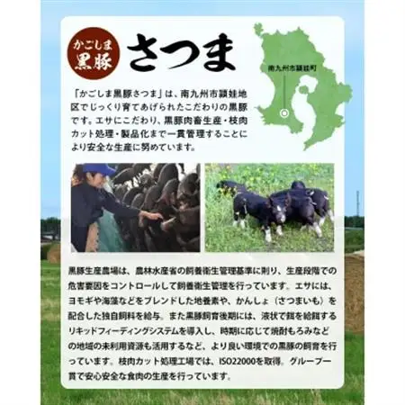 「かごしま黒豚さつま」餃子128個セット【配送不可地域：離島】【1185797】