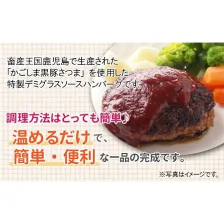 「かごしま黒豚さつま」デミグラスハンバーグ20個セット【配送不可地域：離島】【1185798】