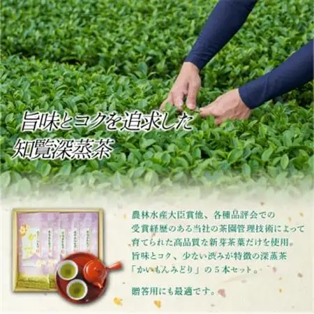 知覧銘茶　かいもんみどり5本セット【1185748】
