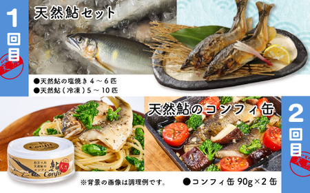 26-851．【4回定期便】鮎づくし！清流四万十川で育った天然鮎の定期便