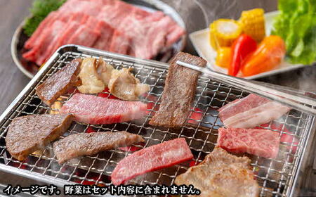 しまね和牛 焼肉満腹セット 1.3kg ／ 食べ比べセット 焼肉用 家族 グループ霜降り バーベキュー BBQ イベント おもてなし パーティー おかず カルビ モモ ホルモン ロース 柔らか 牛肉 肉 島根 和牛 ブランド 全国和牛能力共進会 2022 肉質 1位 島根県 安来市【47-FC-50】