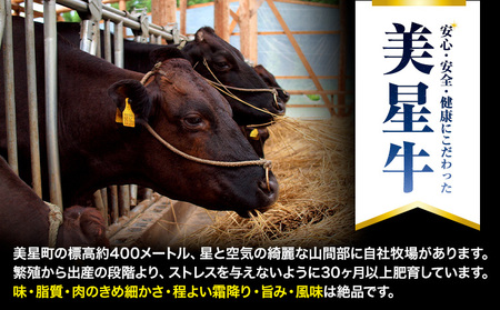 牛肉 ローススライス 肩ロース 美星牛 約400g ハレノヒ良品