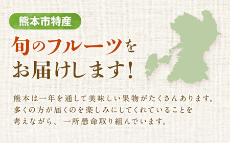 旬のフルーツ 定期便 12ヶ月
