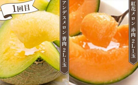 ≪先行予約令和8年度発送≫ みちのく“立秋”詰合せフルーツ定期便 全4回 赤肉メロン メロン 赤肉 デザート フルーツ 果物 くだもの 果実 食品 山形県 FSY-2474